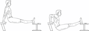 bench-dip-con-panca